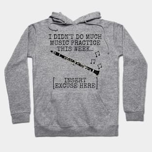 I Didn't Do Much Music Practice, Clarinet Woodwind Musician Hoodie